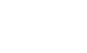 Asset 1LOGO trans